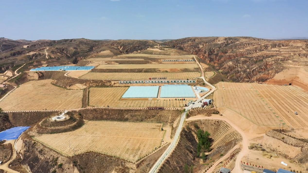 榆林府谷:候鸟逐年增多 生态稳中向好_fororder_图片3