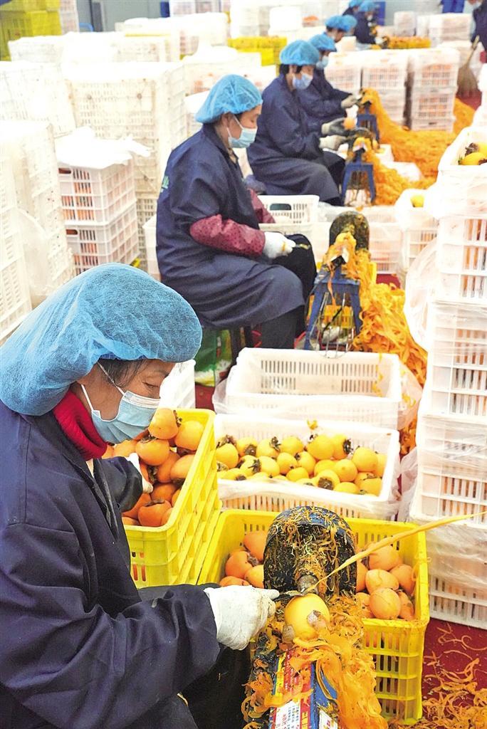 小柿子闯出大市场_fororder_微信图片_20251112085952_4173_24