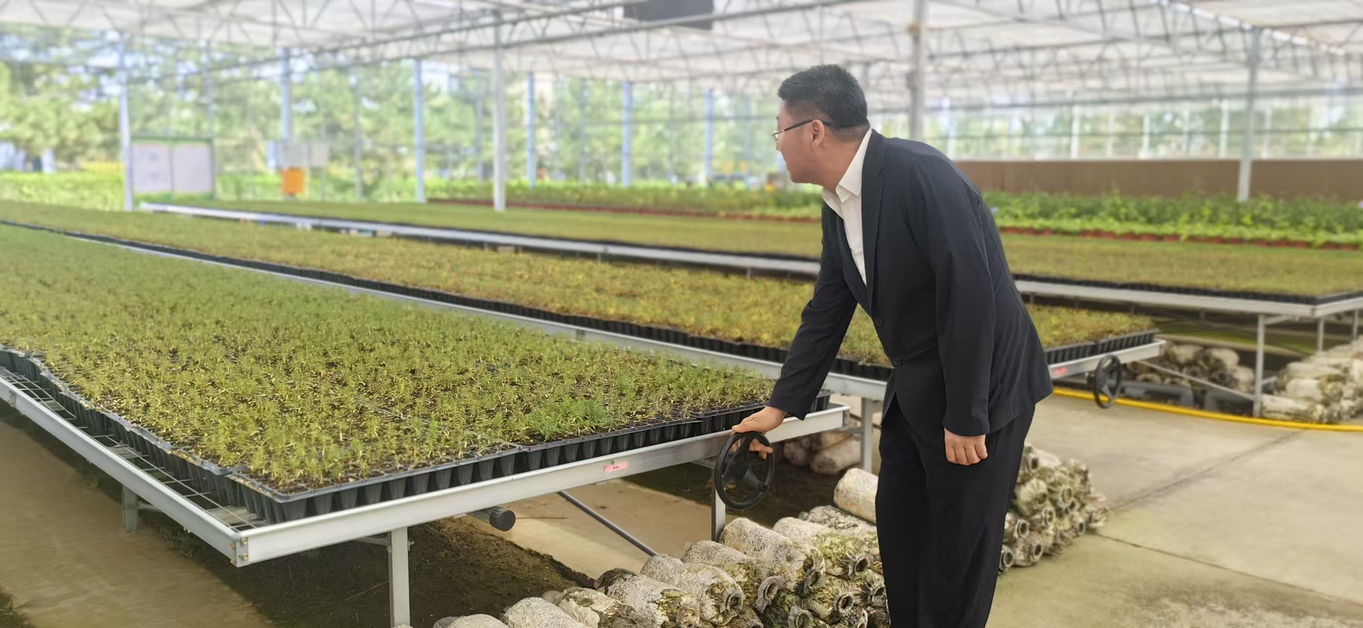 从毛乌素沙地到智能苗圃:榆林靖边冯家峁林场的“绿色革新”