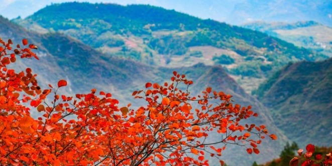 重庆巫山：初冬美景引客来