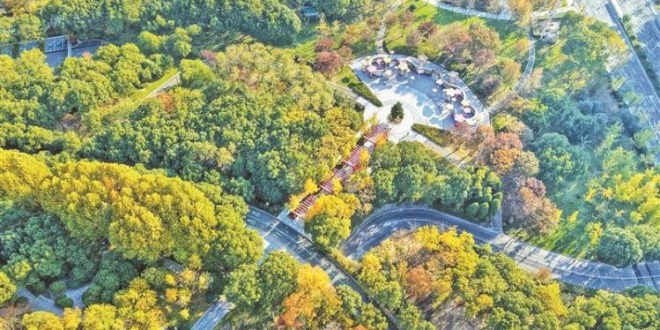 无锡：斑斓初冬