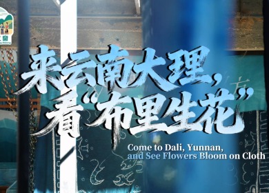 【澜湄之窗】来云南大理，看“布里生花”
