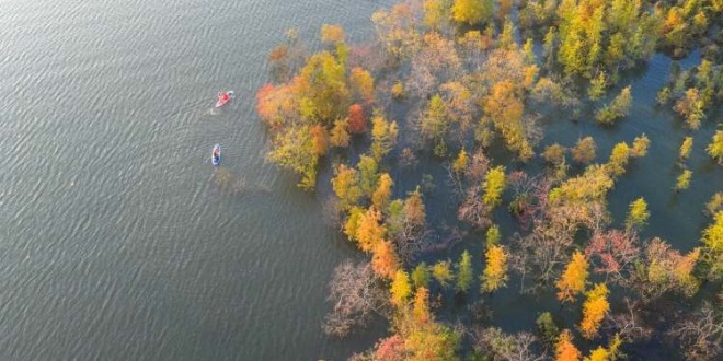 重庆开州：水上彩林醉游人