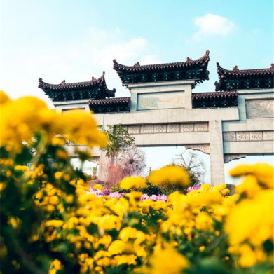 黄石秋韵：橙黄橘绿时 藏着城市的温柔