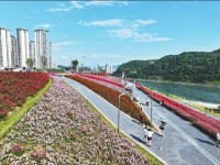 四川宜宾：岷江畔，从工厂围江到花海绽放