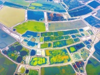 运城盐湖：天然调色板