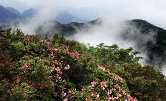 2025猫儿山高山杜鹃花文化旅游季活动即将启幕_fororder_2