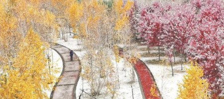 黑龙口绥化：五花秋色雪来伴_fororder_微信图片_〉〇〉「-〈〇-〈『_〇』「『〈」_』」〈