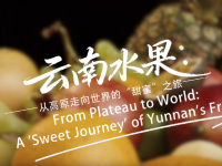 【从云南出发】云南水果：从高原走向世界的“甜蜜”之旅_fororder_微信图片_20260126090600_1018_145