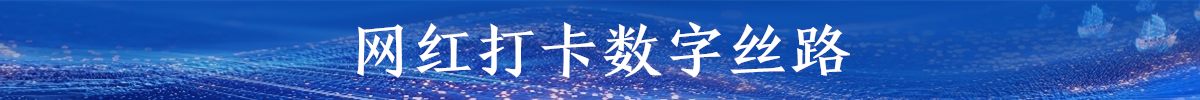 网红打卡数字丝路_fororder_3