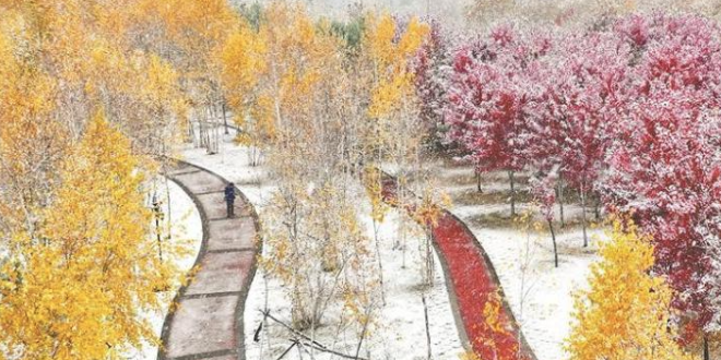 黑龙口绥化：五花秋色雪来伴_fororder_微信图片_〉〇〉「-〈〇-〈『_〇』「『〈」_』」〈