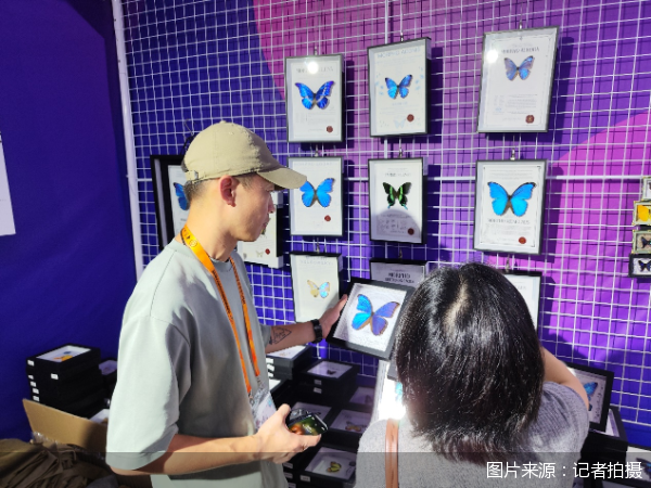 设立20个驻华使馆展区，“炫彩世界”带你“不出京逛世界