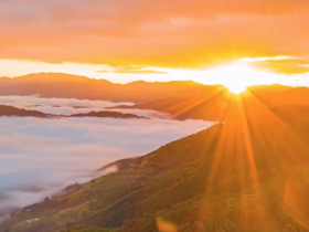 【澜湄之窗】走，去云南绿春赴一场茶香之旅！_fororder_微信图片_〉〇〉「-〈〉-〈「_〇【〈〇〉』_【「〉