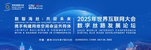 2025世界互联网大会数字丝路发展论坛_fororder_主视图1200x500