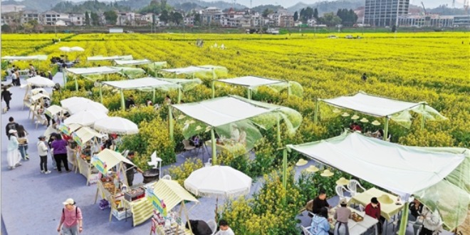 浙江杭州：花田市集热闹启幕