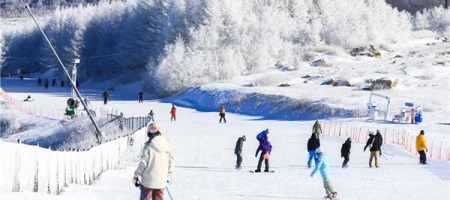 冰雪热潮席卷南北 湖北神农架、宜昌等地成东南亚游客新宠