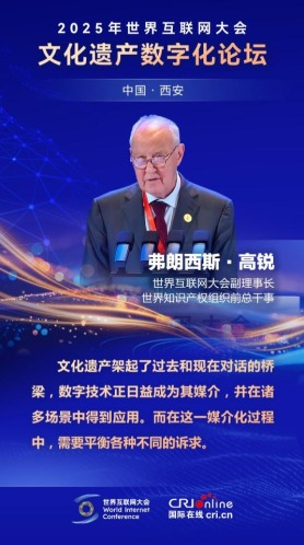弗朗西斯·高锐：文化遗产架起了过去和现在对话的桥梁，数字技术正日益成为其媒介