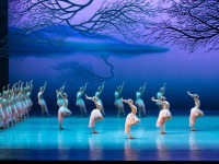 追剧郑州 一路有戏