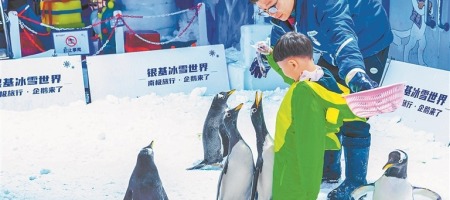 追雪河南 火热“开板”之后 如何穿越四季？