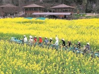 不负好春光 成都春季文旅地图活动线路全攻略上新