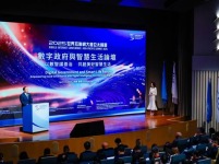 2025年世界互联网大会亚太峰会数字政府与智慧生活论坛举行