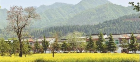 在西安绘就秦岭“绿富同兴”美丽画卷