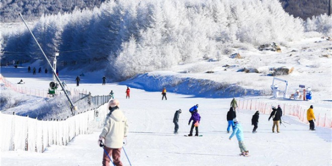 冰雪热潮席卷南北 湖北神农架、宜昌等地成东南亚游客新宠