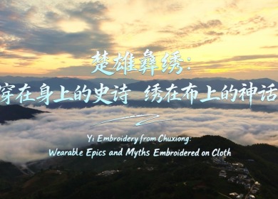 【澜湄之窗】楚雄彝绣：穿在身上的史诗 绣在布上的神话_fororder_彝族_副本