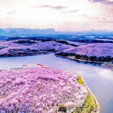 立春“加载”完成！贵州即将进入“高饱和度”的季节