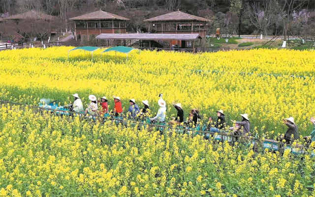 不负好春光 成都春季文旅地图活动线路全攻略上新