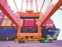 地中海航运厦门港年度集装箱吞吐量突破100万标箱