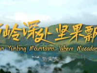 【从云南出发】云岭深处 坚果飘香_fororder_微信图片_〉〇〉」-〇《-〈【_〇【「【「〇_《」》