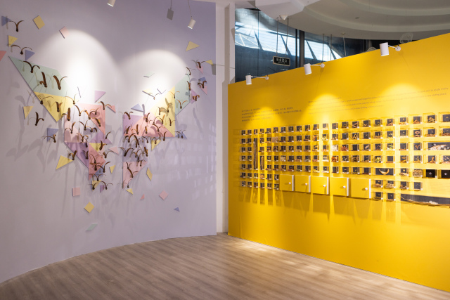 上海辰山植物园种子展呈现种子飞行盛宴_fororder_微信图片_20250929164706_52_115