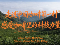 【澜湄之窗】走进“中国咖啡第一村”，感受咖啡里的科技力量_fororder_微信图片_〉〇〉「-〇【-〉』_〇』「〉〈〉_〈『『