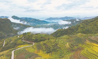 福建政和：云上梯田 “吃上文旅饭”