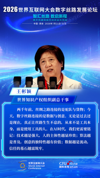 王彬颖:数字丝路连接的是数据与创意 王彬颖:数字丝路连接的是数据与创意_fororder_4