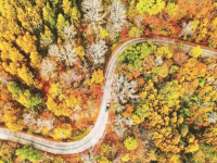 秋之彩色吉林_fororder_微信图片_〉〇〉「-〈〇-《〇_〇』「』》』_「「』