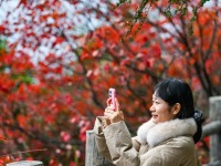 重庆巫山：初冬美景引客来