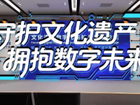 2025乌镇峰会｜守护文化遗产 拥抱数字未来