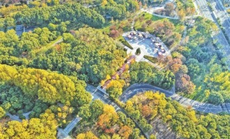 无锡：斑斓初冬