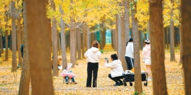 陕西西安：层林尽染金秋色醉游人