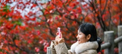 重庆巫山：初冬美景引客来