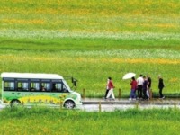 内蒙古锡林郭勒盟：雨中漫游金莲川