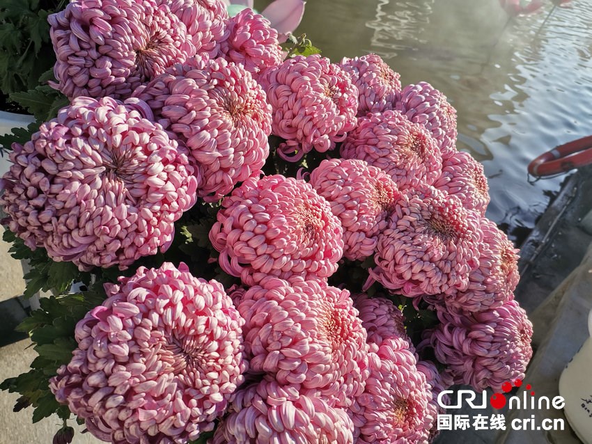 【2025打卡中国】外国网红“创作魂”燃了!集体“入坑”中国书法拓印