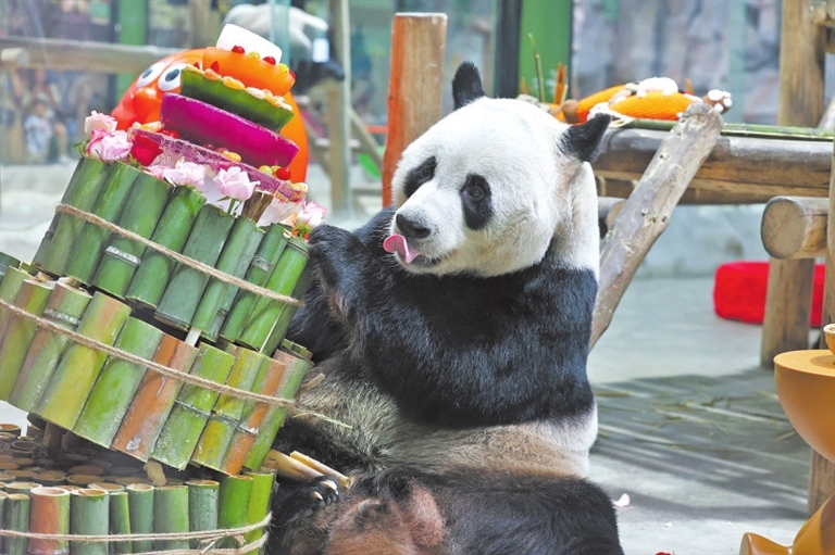 【奋进的河南 决胜“十四五”·洛阳篇】文旅焕彩 新韵流淌