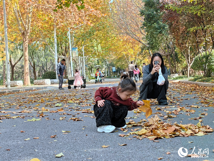 红黄交织美景 河南郑州赏秋正当时