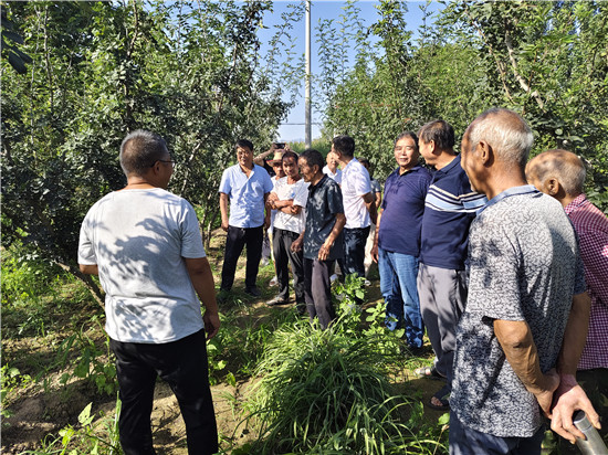三门峡灵宝市豫灵镇:“地头学堂”获“10分”好评_fororder_田间地头教学 摄影 许佐平