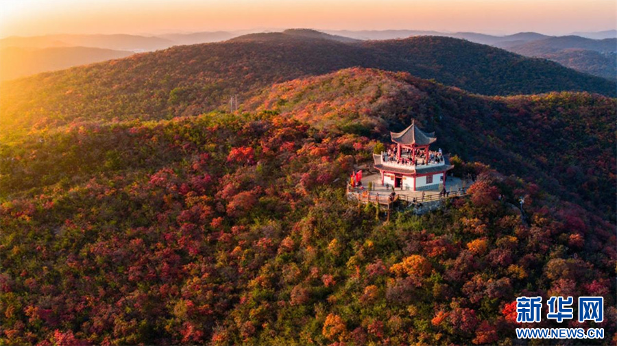 中原初冬蕴诗意