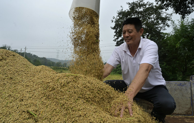 信阳市新县:开足马力抢收 确保秋粮颗粒归仓_fororder_丰收的喜悦(焦汉平 摄)