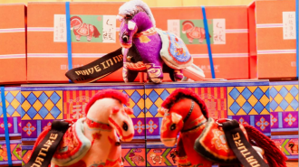 建业文旅年味浓 解锁新春新体验